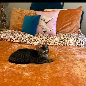 Opal House Orange Velvet Queen/Full Size Comforter Cover